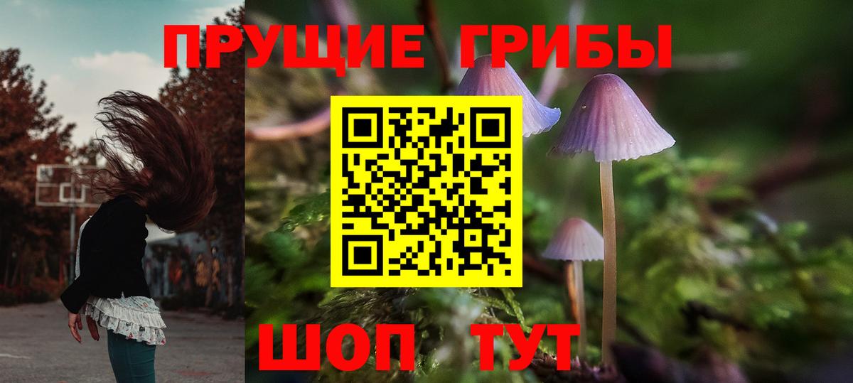 Иваново  Галлюциногенные грибы ЛСД  Вход с VPN 