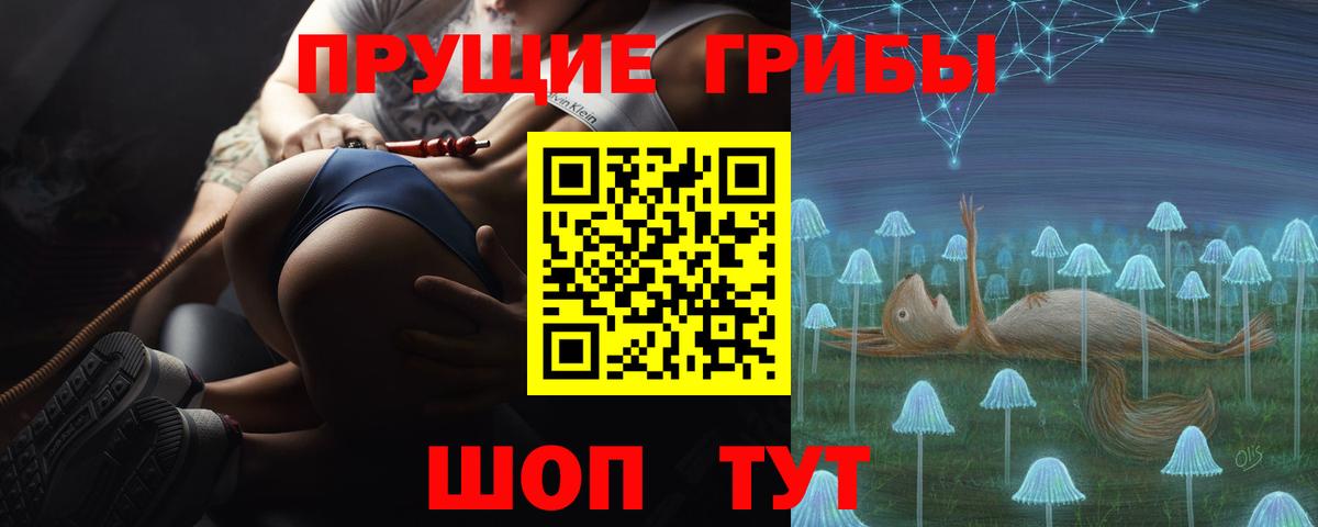 Псилоцибиновые грибы GOLDEN TEACHER Иваново